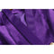 Purple Velvet Blazer Dress