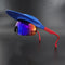 Multi Colored Brimmed Sunglasses