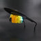 Multi Colored Brimmed Sunglasses